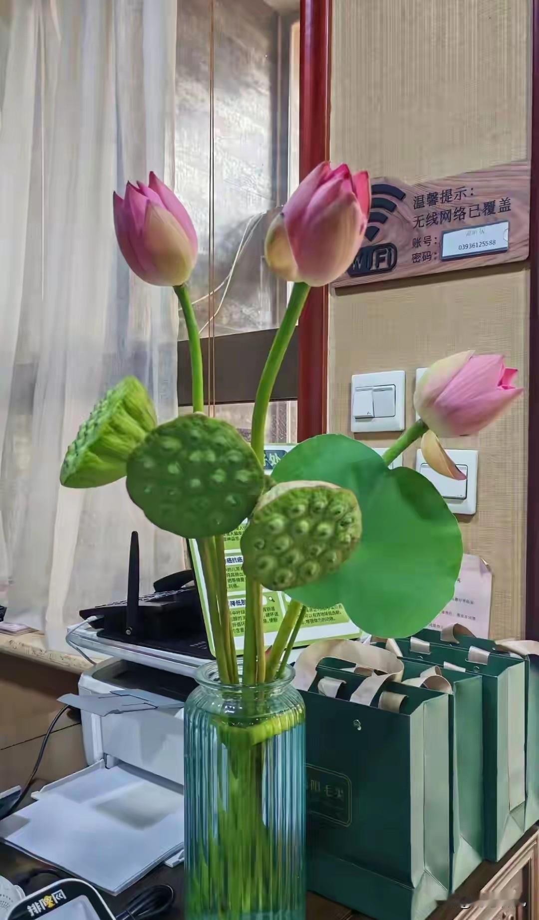 中国儿媳恨婆婆的理由：出钱的，恨你不出力；出力的，恨你不出钱
 
这个说法在很多