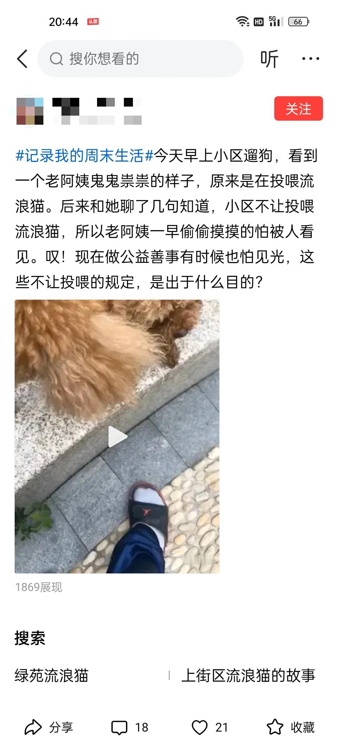 投喂流浪猫是公益善事？这帽子戴上去不觉得头太大，戴不上吗？
就不说那种喂猫的自我