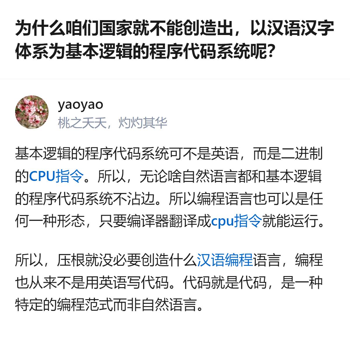 针对以汉语汉字体系为底层逻辑做程序代码系统的想法，有明确的专业观点指出，程序代码