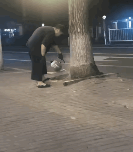 你绝对想不通老太太往大树上浇开水是为什么？
网友说，沈阳一老太太经常往她家门前一