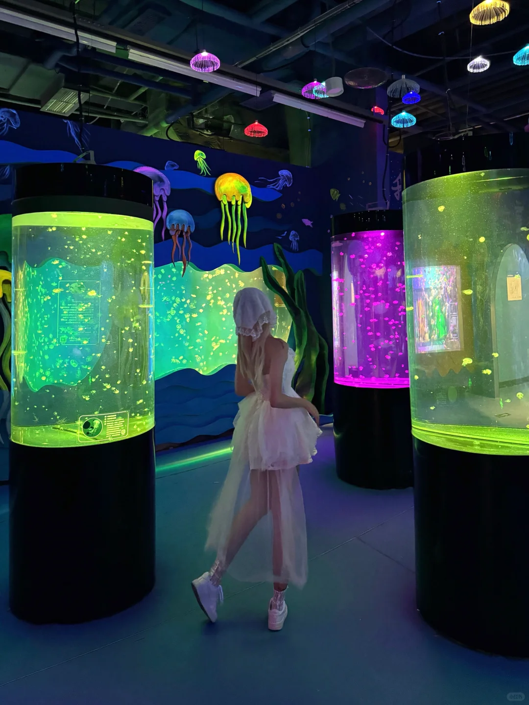 重庆海洋世界🐋这样拍氛围感拉满了！！