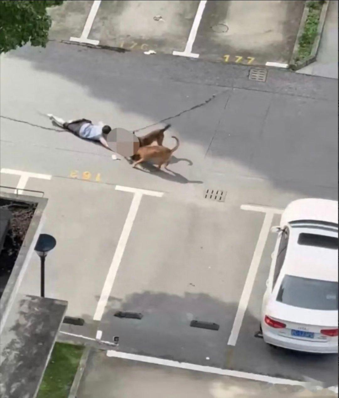 上海警方通报两犬撕咬幼童拖行犬主马某已被警方依法采取刑事强制措施给上海警方打Ca