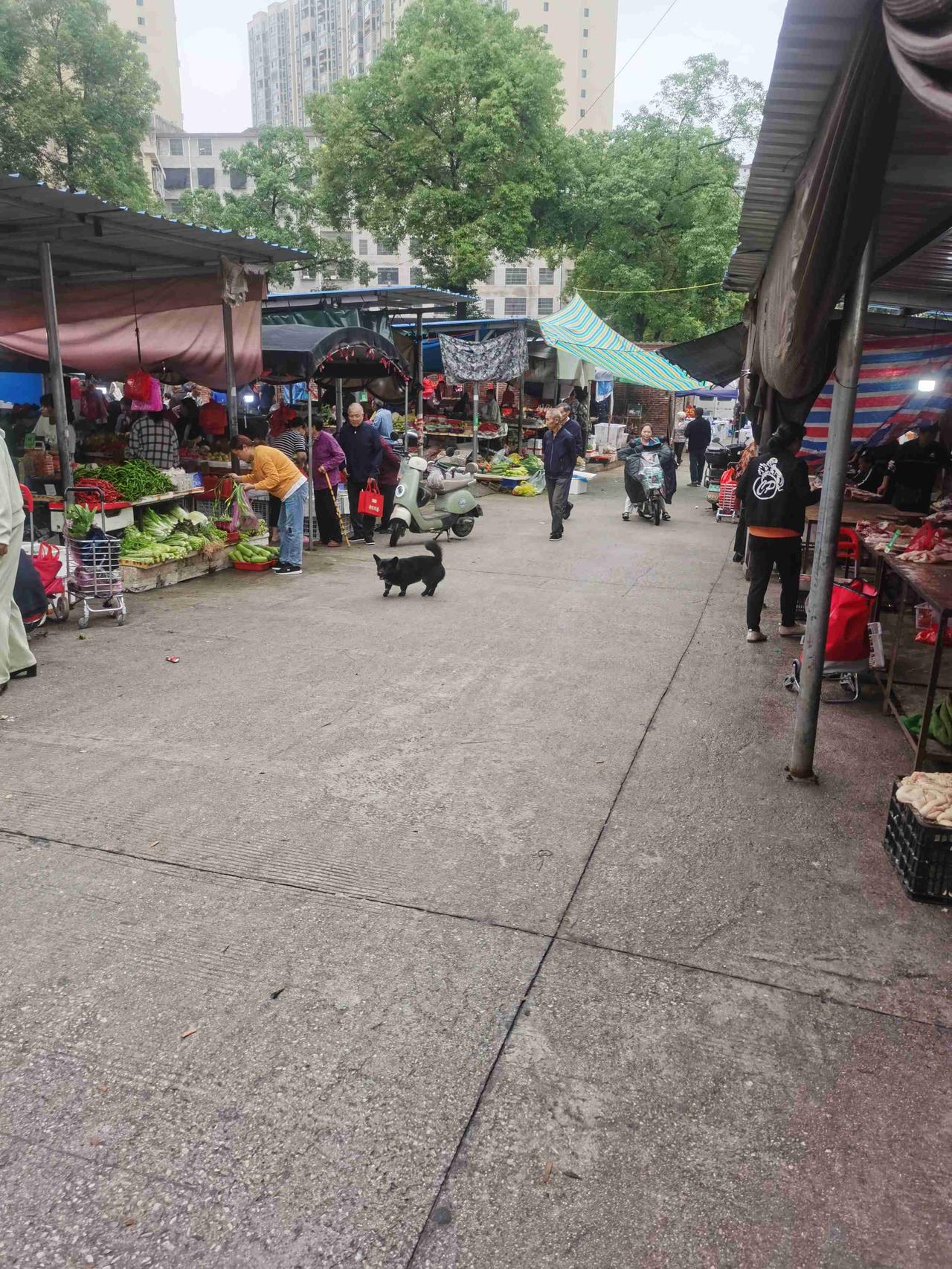我的今日状态：😪没睡醒
我这里的天气：🌤️多云

从失业差不的一个年头了，找