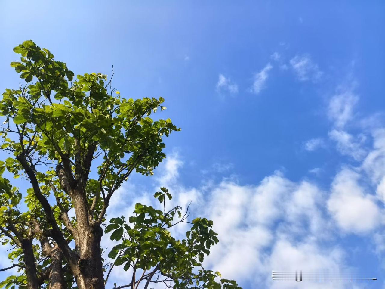 在公园感受一年四季的 
​人  湖面 鸟语花香 风和蓝天