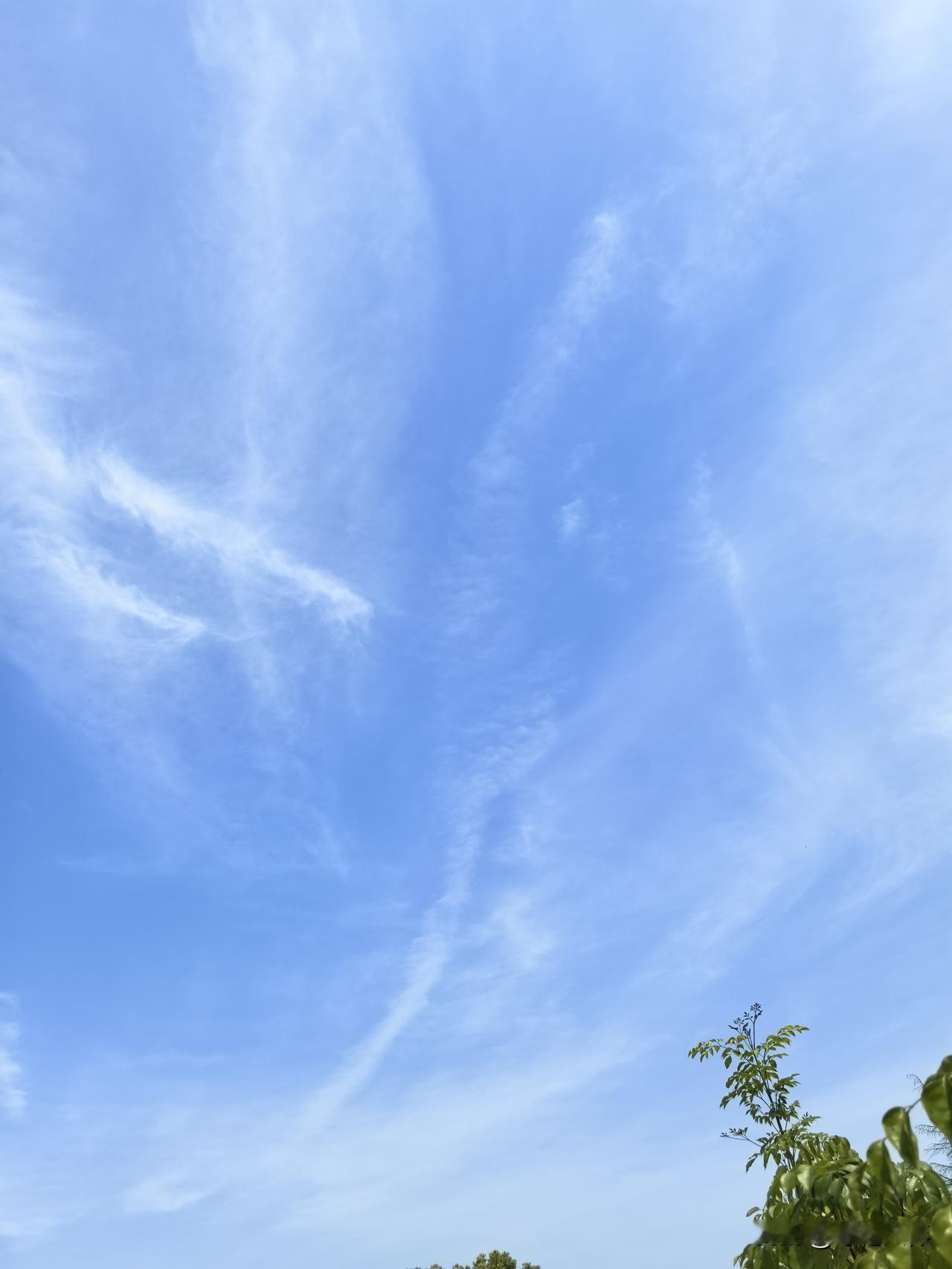 王花花说，她这一辈子，从来没想到会是这样过的，她该读书的时候一直在读书，直到大学
