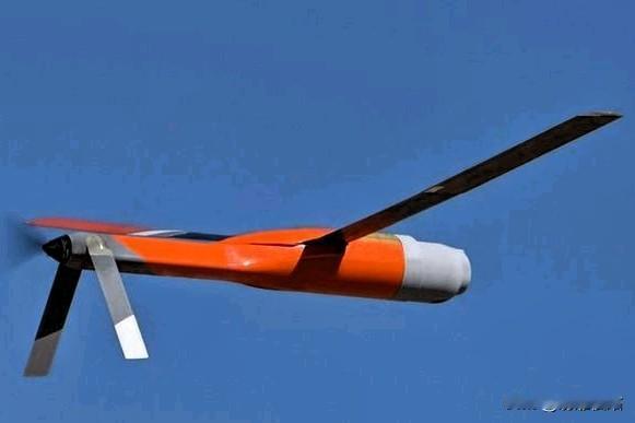 俗话说，盗亦有道，俄乌战争三四年了，普京也没说要对泽连斯基个人下手，假如普京想致