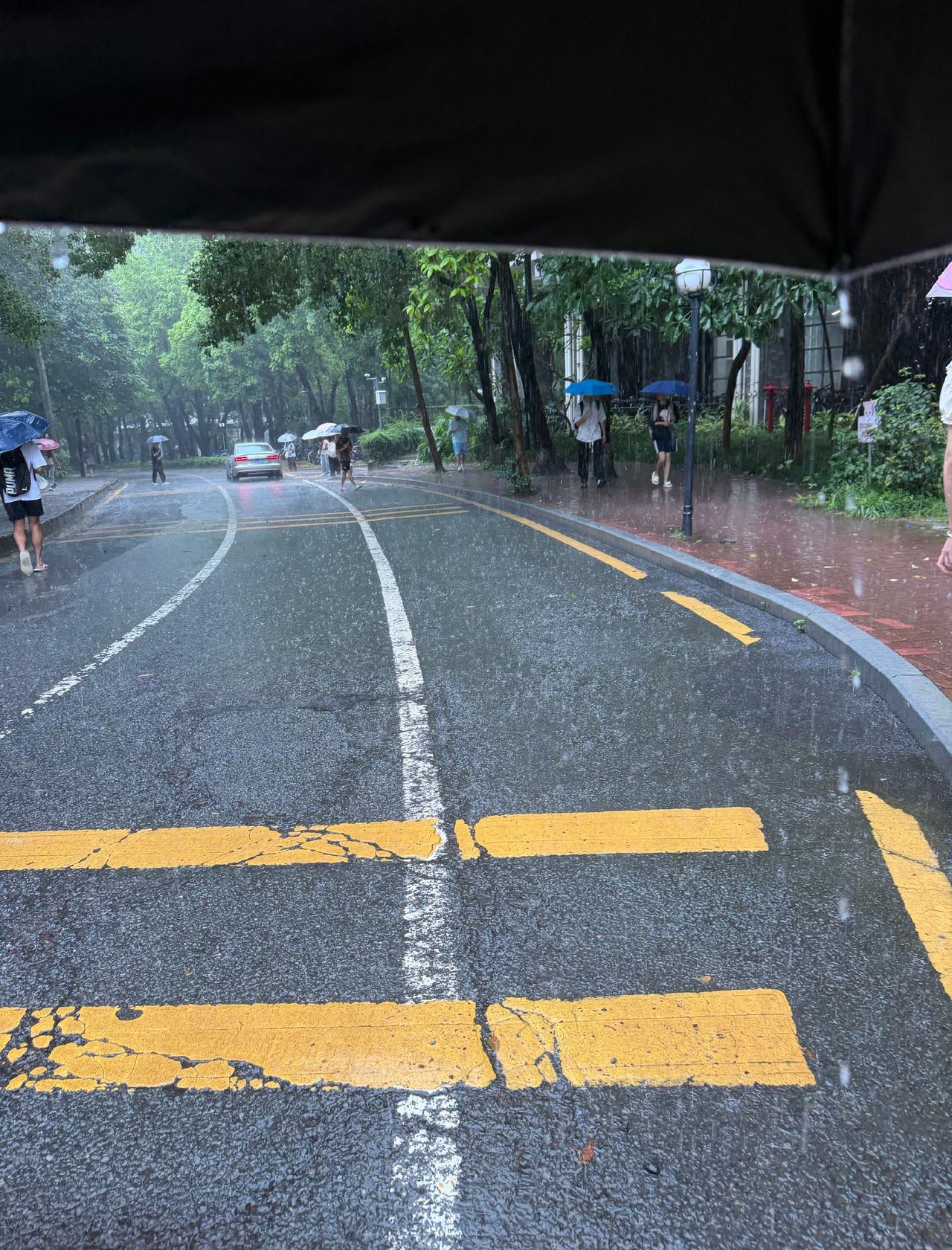 6.18📝
我不知道这个死深圳想干嘛 一直在下雨 大暴雨…滚😡
中饭19.2