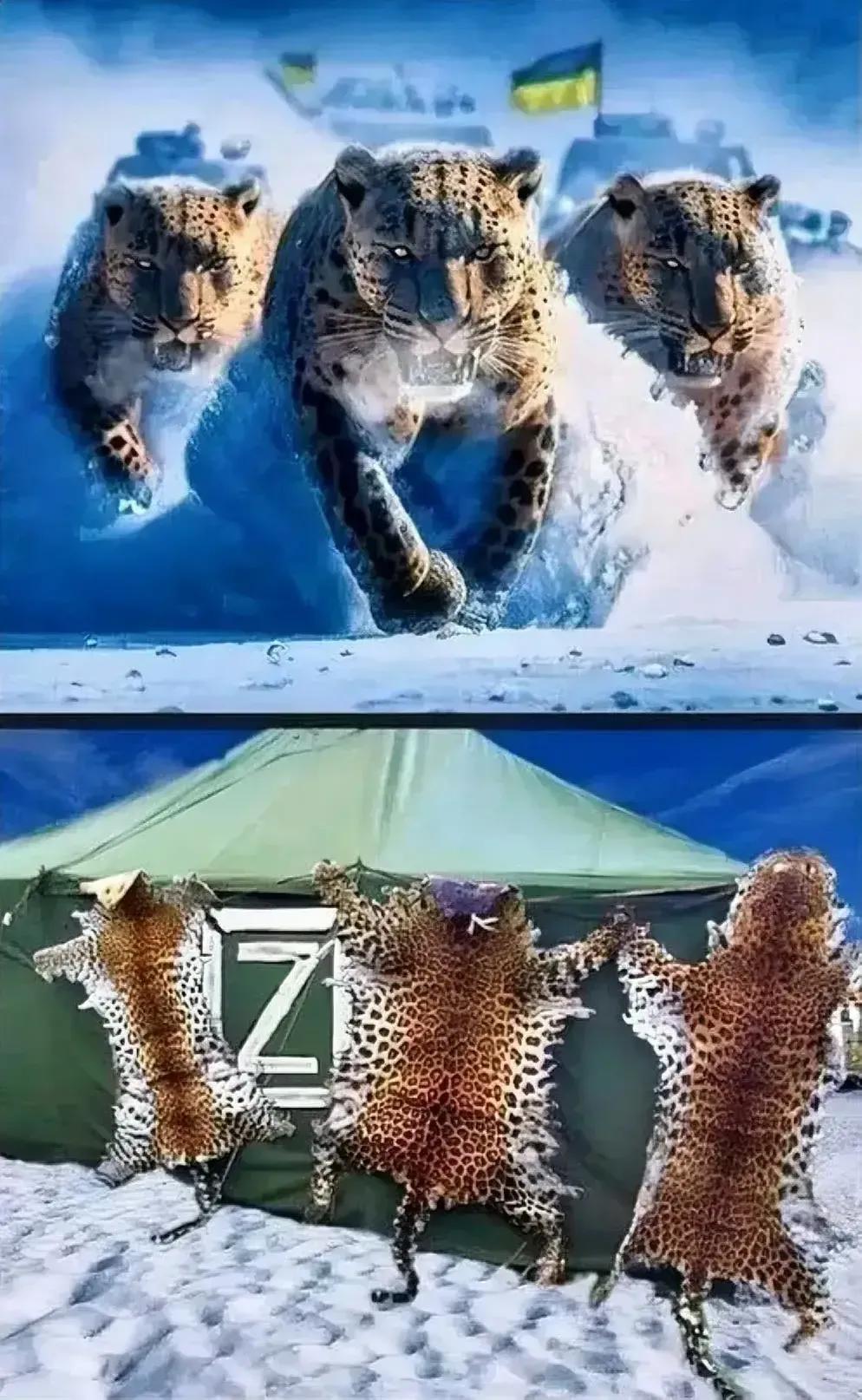 德国紧急致电俄罗斯！给点面子！看到豹—2别打了！现在股价都跌的没底了！
豹—2的