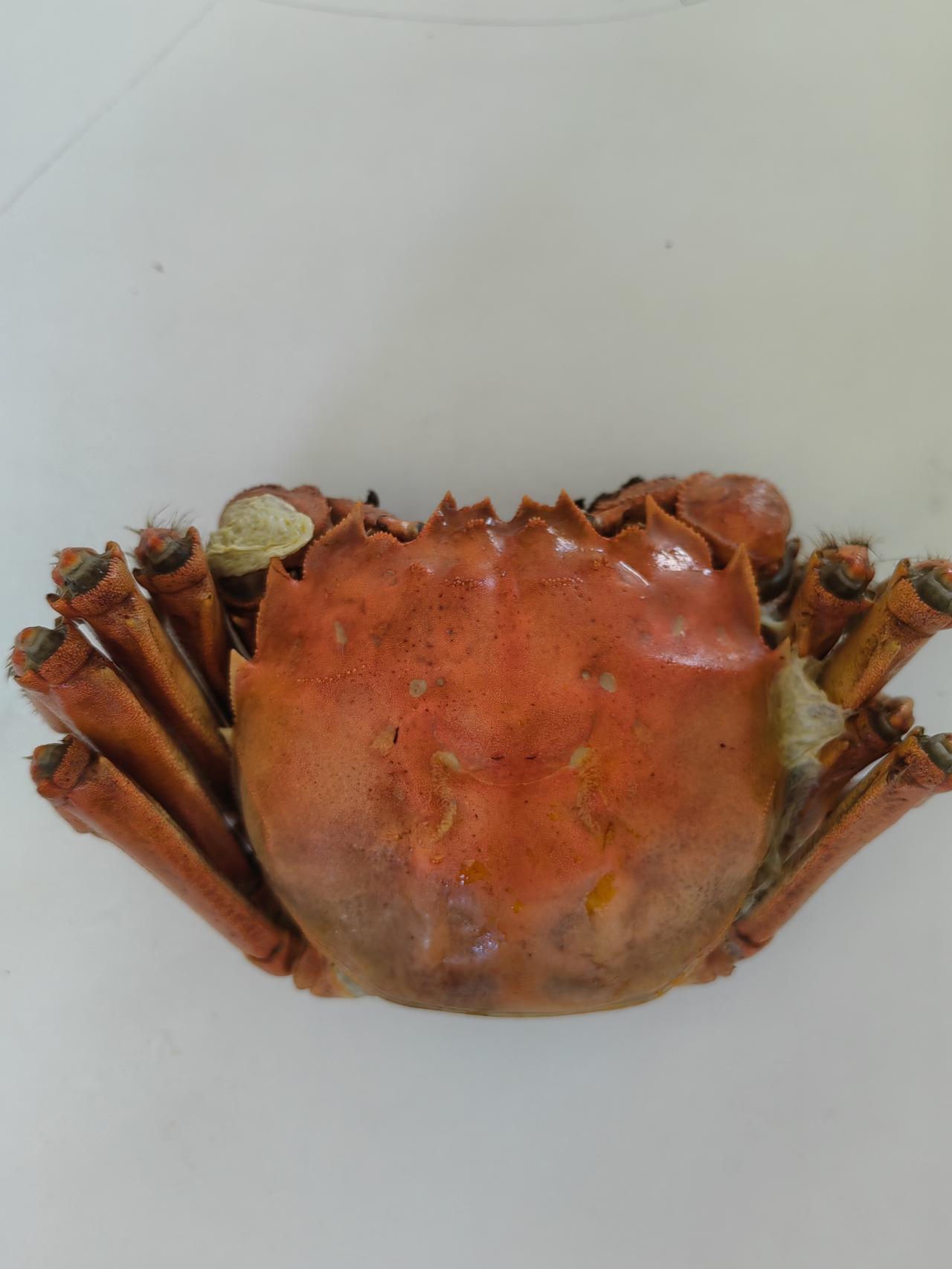 媳妇吃黄和膏。
孩子吃腿。
我吃剩下的。