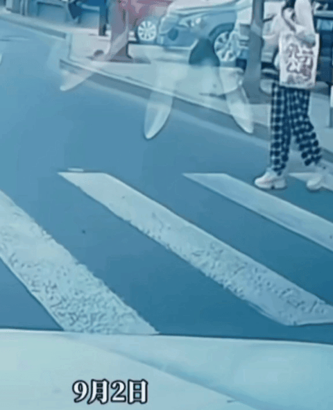 人行道可以中途折返吗？
这责任怎么划分？
一般情况下，人行横道绿灯时，直行机动车