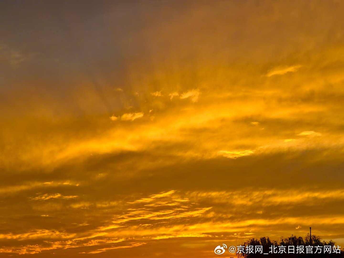 【抬头！#今天北京真好看#】#北京再现金色晚霞# 8月30日傍晚，北京再次迎来漫