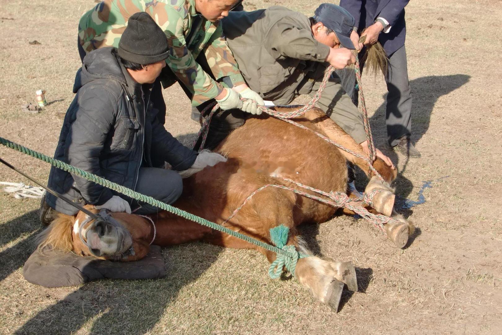 在美读博中国小伙被控下药鸡奸罪   “终身登记为性犯罪者”，我们国内的法律，在对