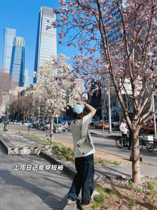 ❤️3.22-3.29周记