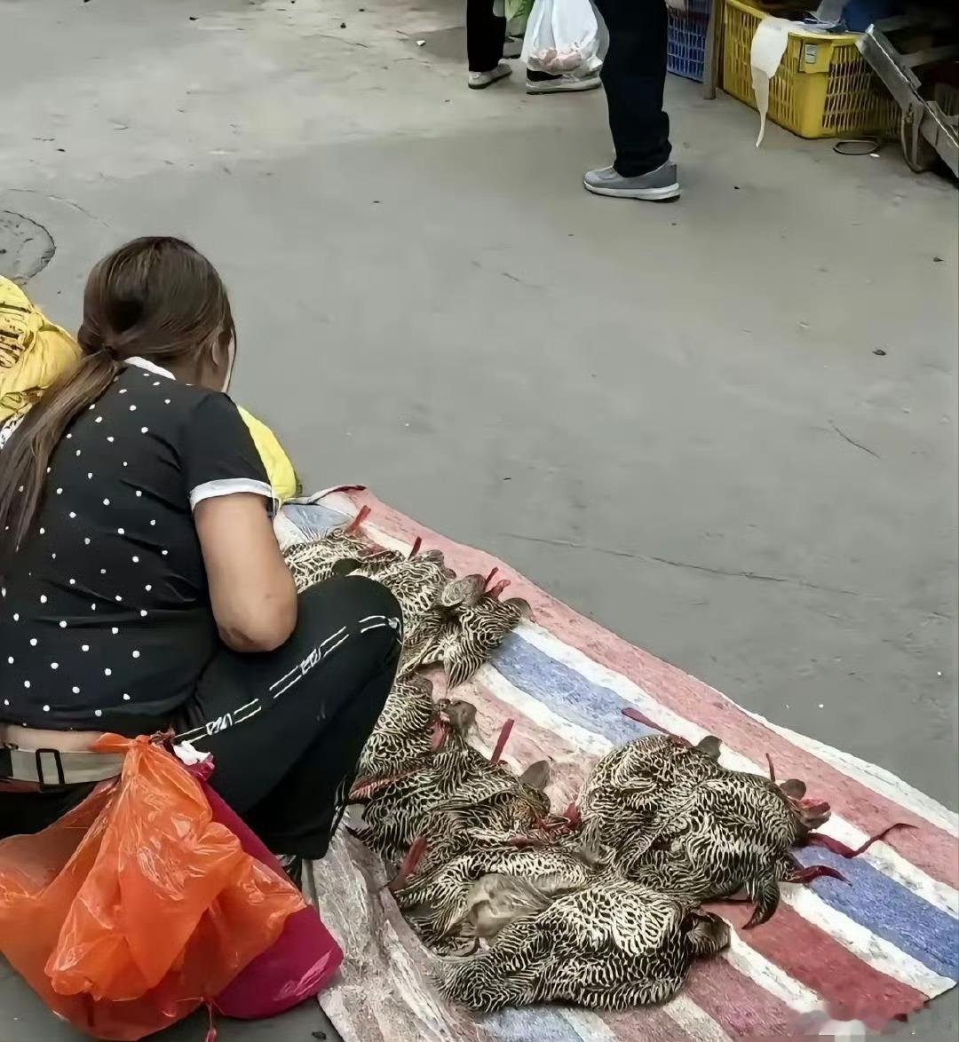 这大姐胆子也太大了，这都敢卖….. 