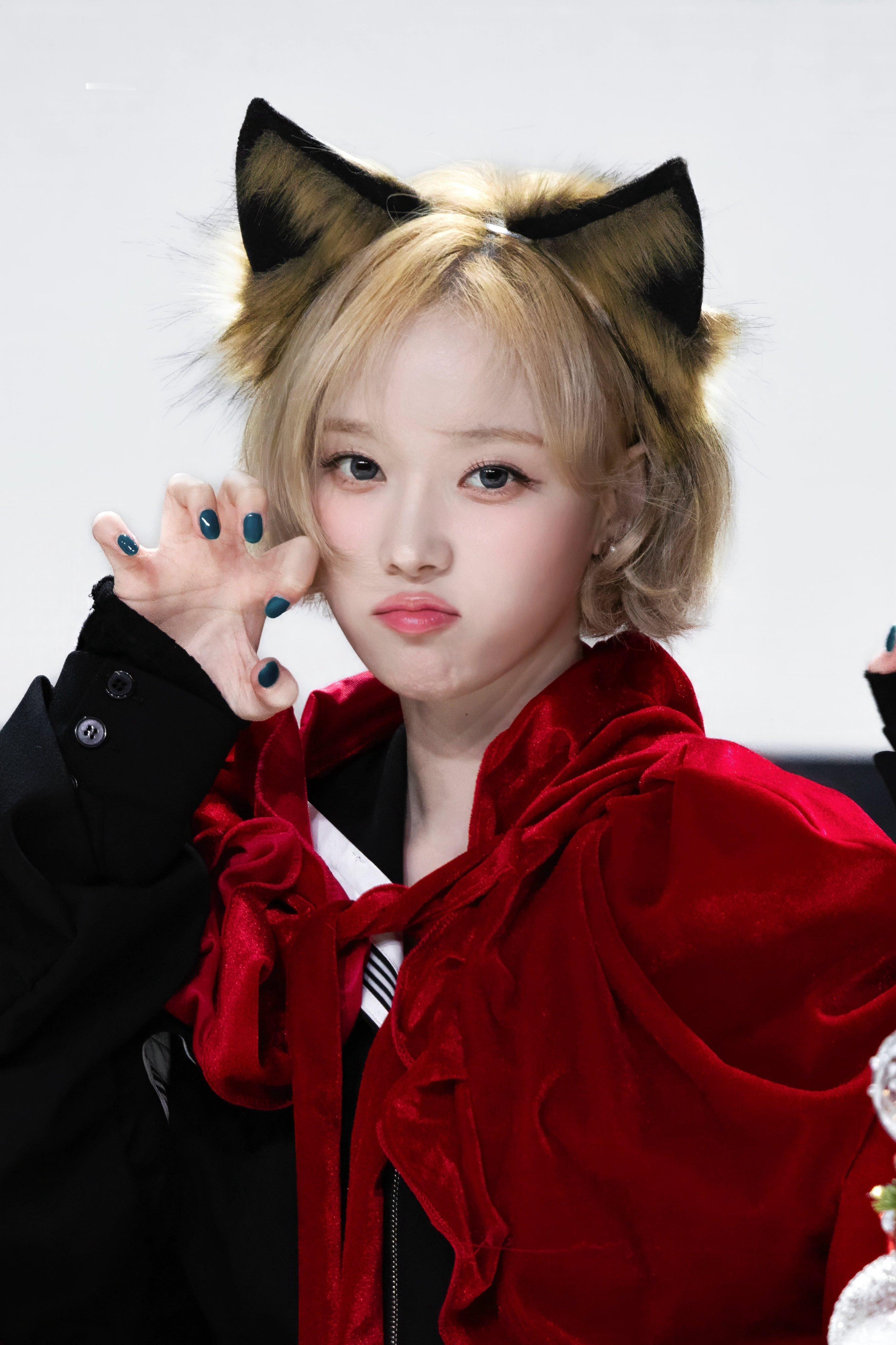 241202 DMM🐺or🐰or🐧©️Certain_1117/yufor