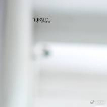 每日一善 💚罗一舟景渊 青年“所多的是生力，遇见深林，可以辟成平地的，遇见旷野