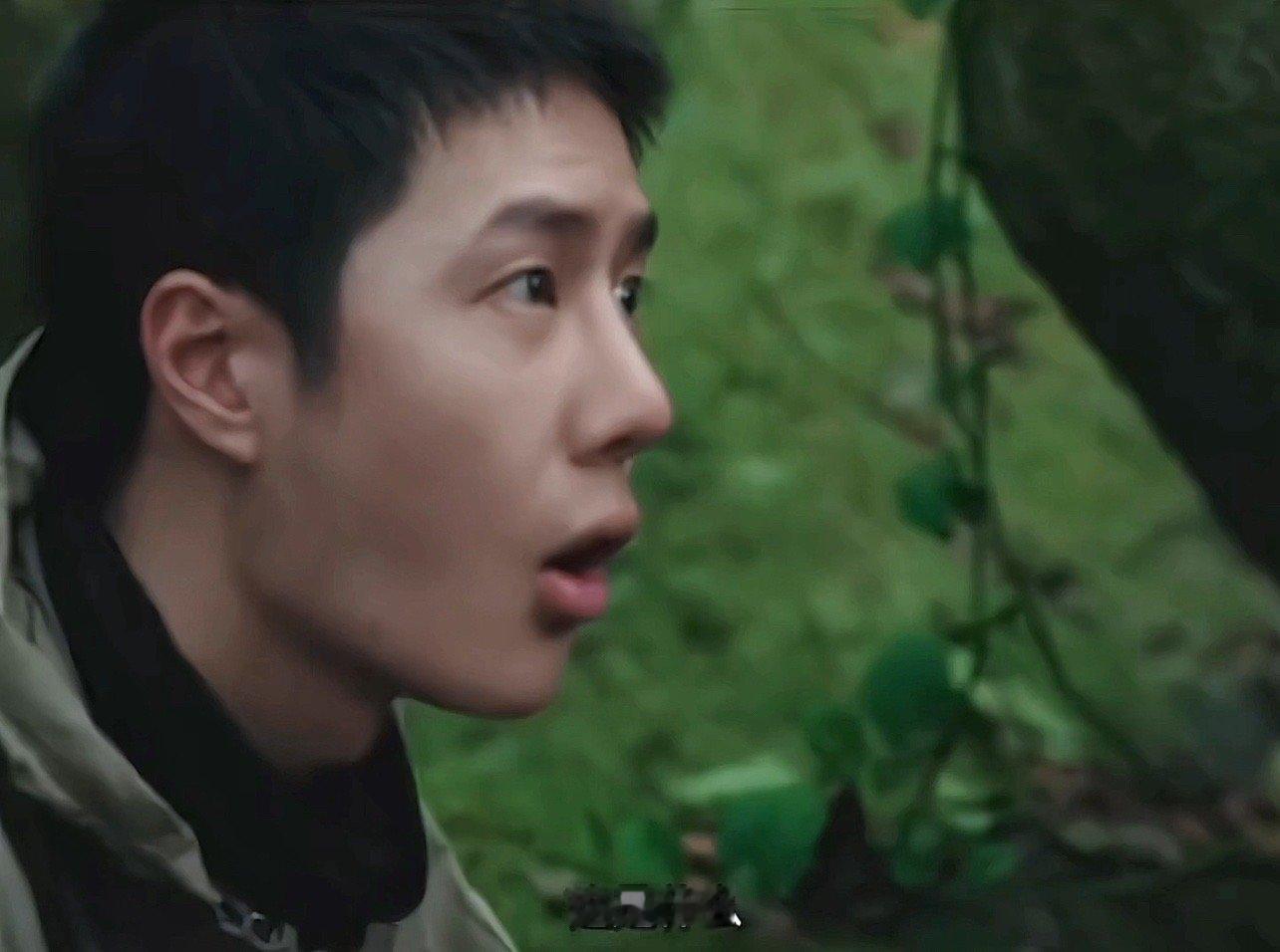 博哥看见的这是一条绿色的蛇吗？还是什么虫子🙈 ​​​