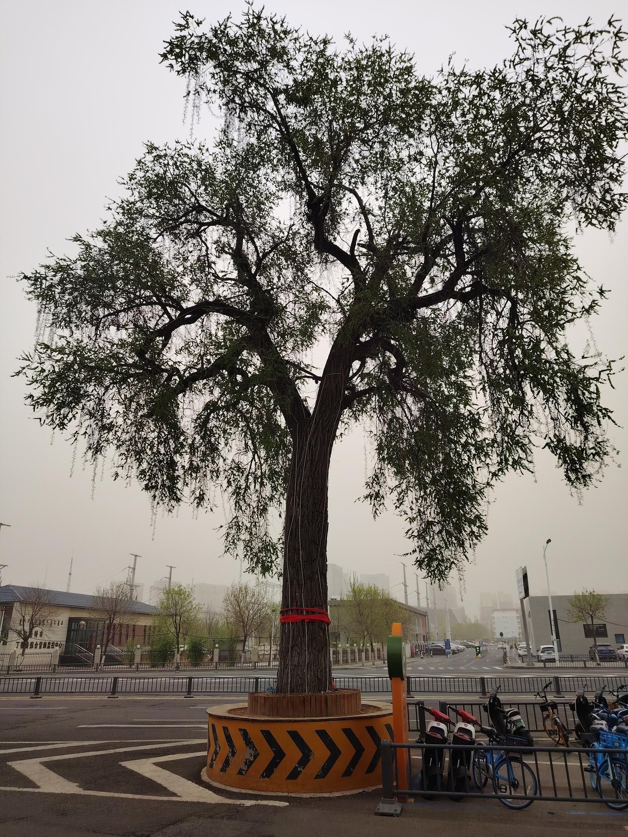 呼和浩特，我们有见面了！