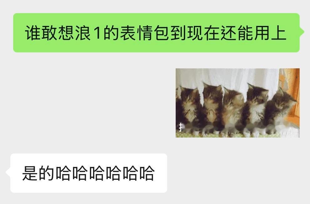 瑶怡瑶的应援车有一种来就来了根本不鸟任何人的诡异挑衅感、、俩美女在车厢上猛地冒出