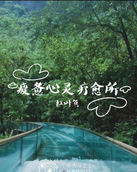 当人潮散去，
独享红叶柿岩。
夜里的王城，
许君一夜繁华安宁…
⸻
🏕 入住体