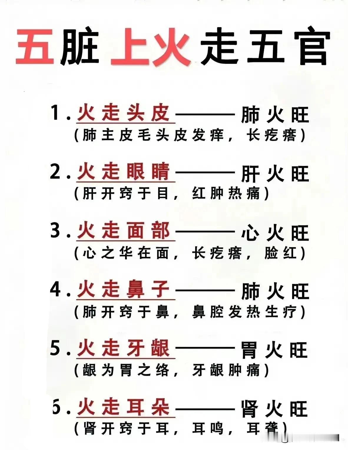 五脏上火走五官？中医教你如何巧妙应对！

你是否曾被头皮发痒、眼睛红肿、面部痘痘