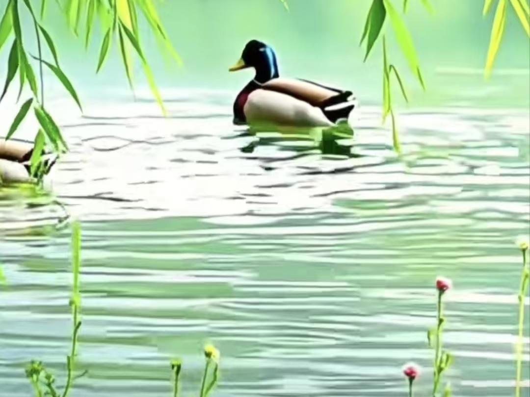 早春
春波潋滟柳丝摇，
初尝水暖鸭弄潮。
岸上芳馨熏客醉，
山川翠色画难雕。