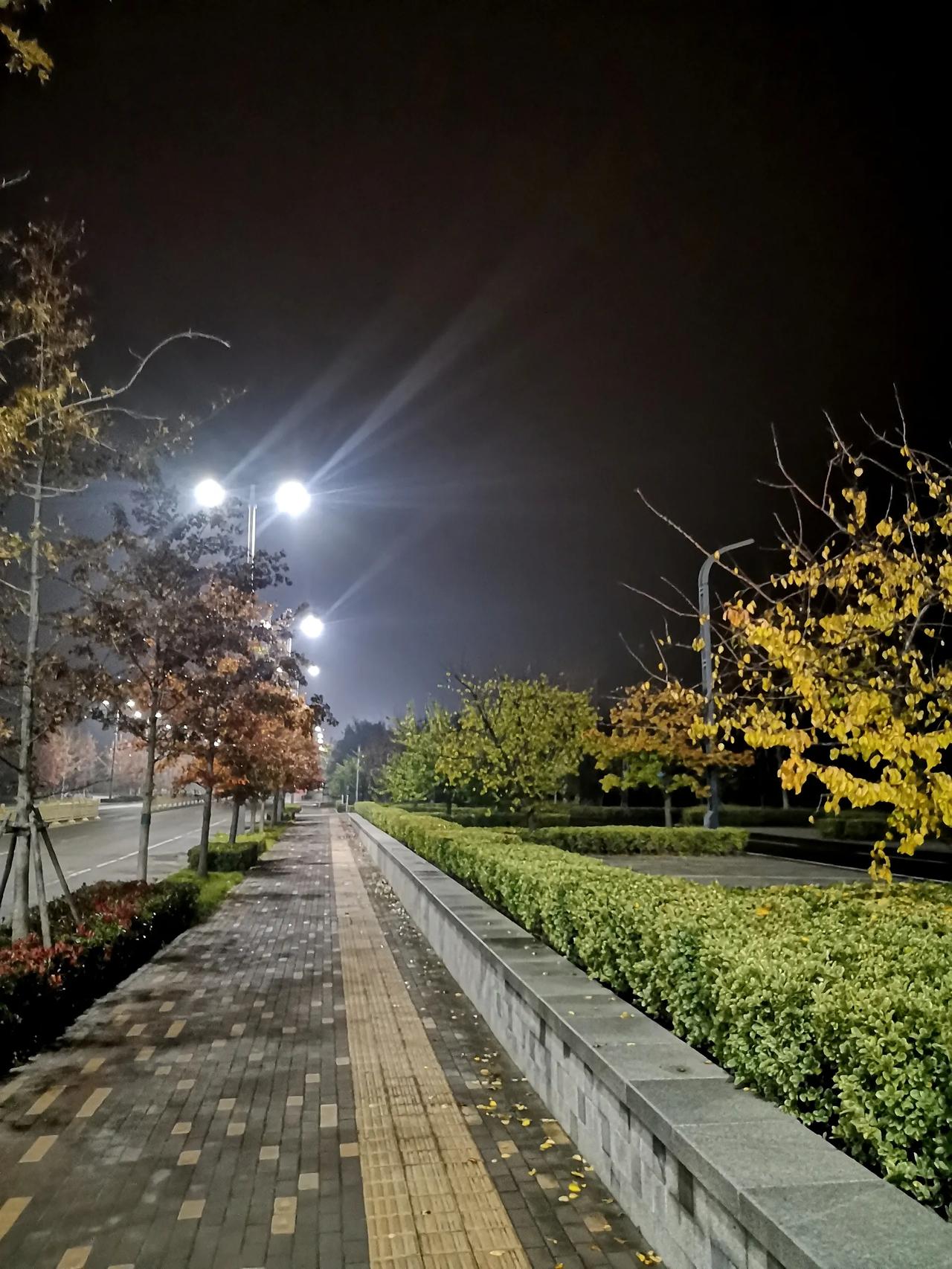 人真的是需要有些精神的，否则吃睡轮转，空自耗费时光和生命，无异于行尸走肉呀！[笑