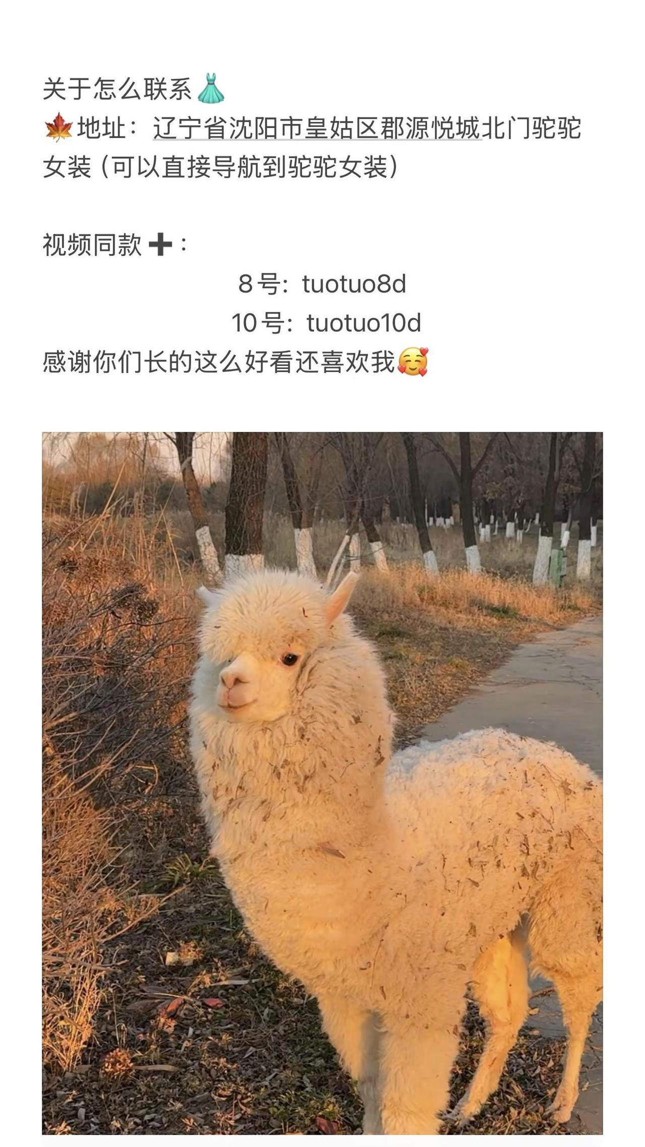 谢谢姐妹们喜欢🥰沈阳服装店