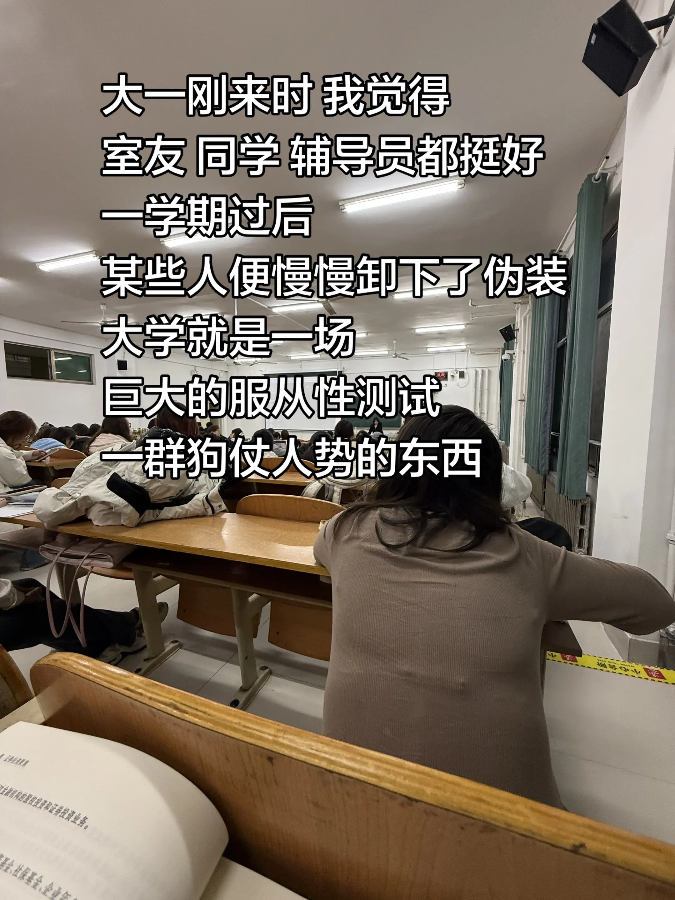 大学就是一场巨大的服从性测试。