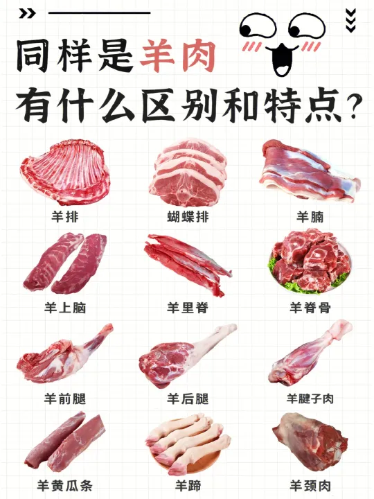 羊肉不同部位大揭秘 | 吃羊攻略🐏