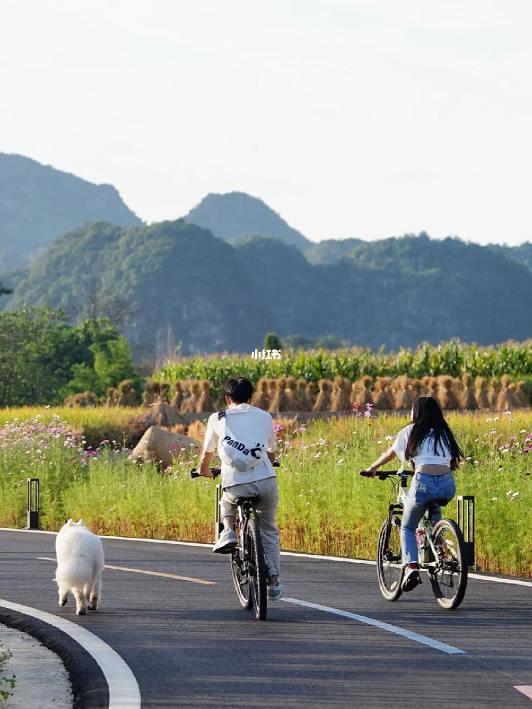 万峰林史努比电动车太拉风啦！！