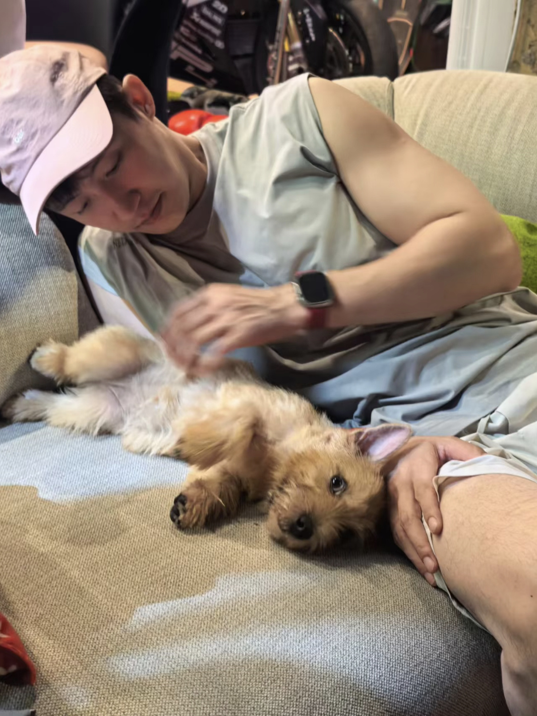 谁羡慕了我不说