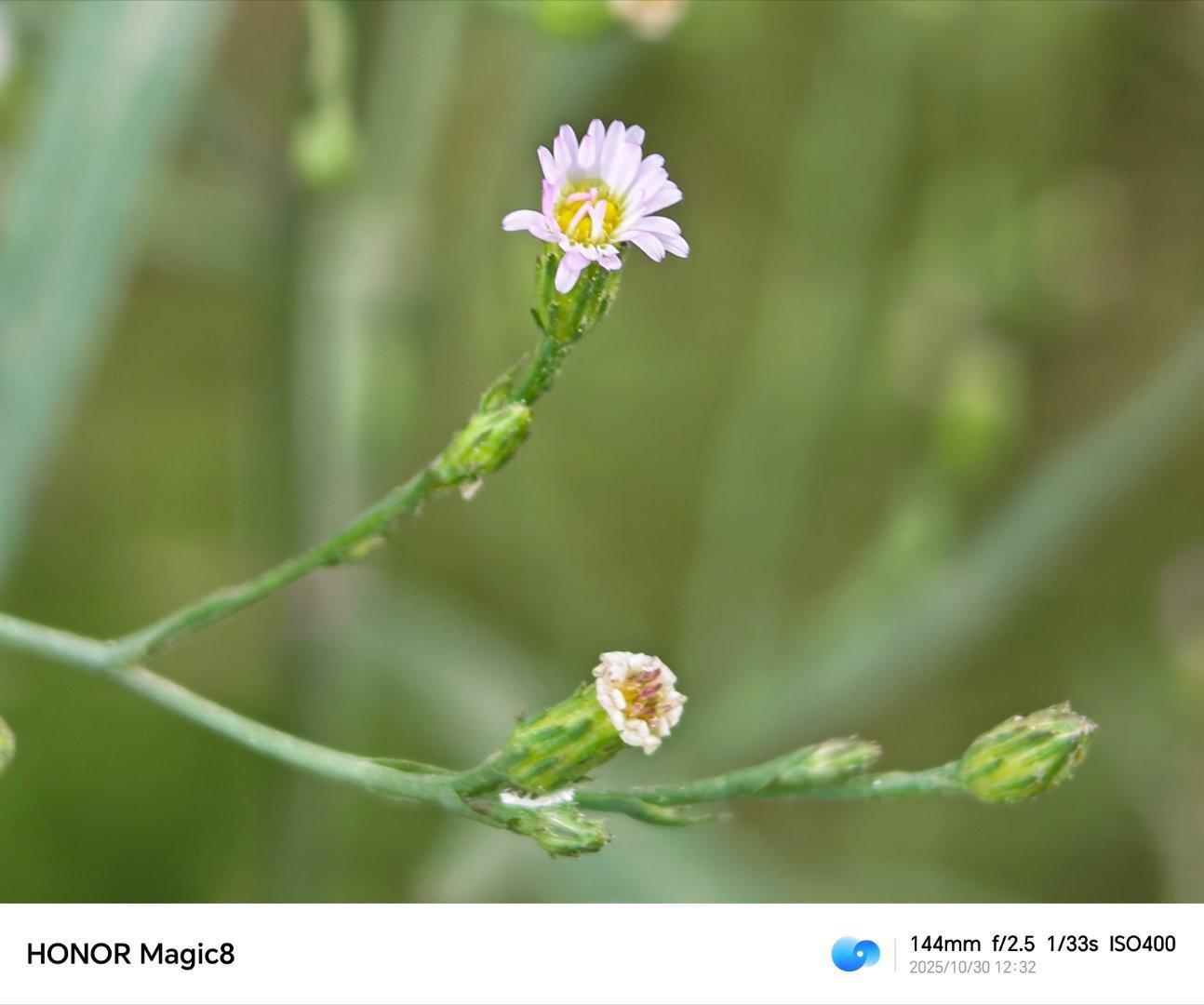 冬天被窝里暖和呀！闹钟响了都不想起床每天早起打卡 ​​​