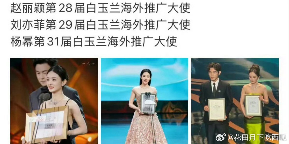 已经有网友说白玉兰海外推广大使好像是一句祖咒，就是一个安慰奖，让粉丝感觉来了也没