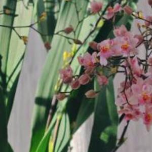 清晰健康的朋友关系是什么样的、远离喧嚣和不舒适的社交、很少的攻击与对抗，才是舒适