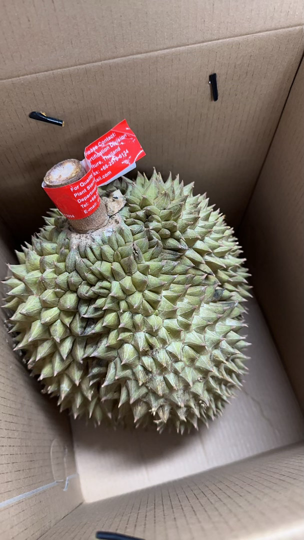 到家砍了半小时