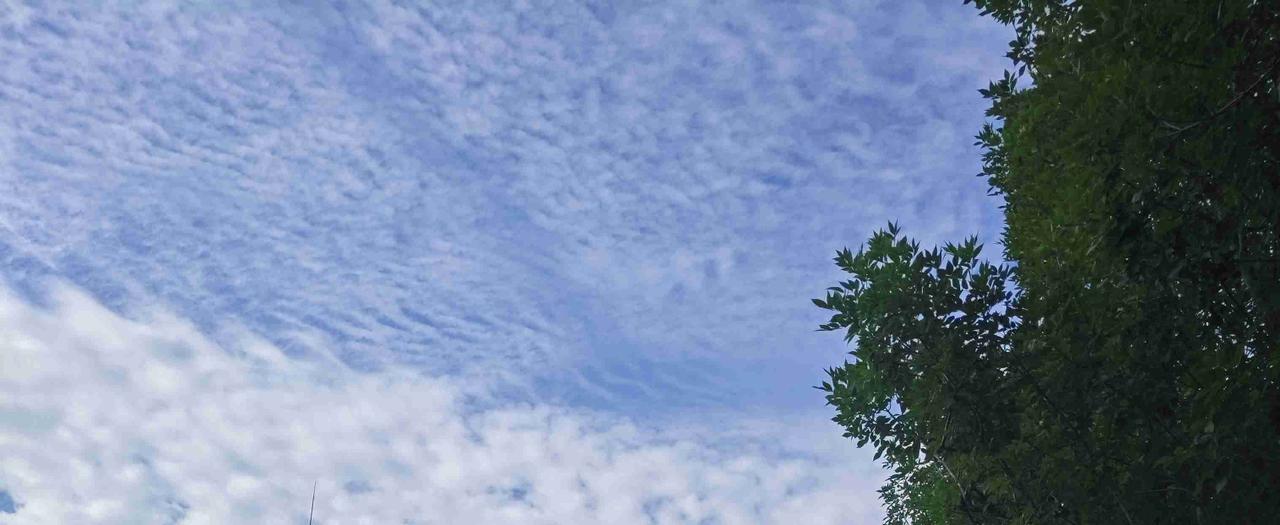我的今日状态：😁轻松愉快
我这里的天气：🌤️多云