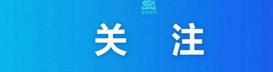 江苏盐城：慕指导、严子航、李智良等亮相舞台
11月30日，一“鹿”有你——“鹿战