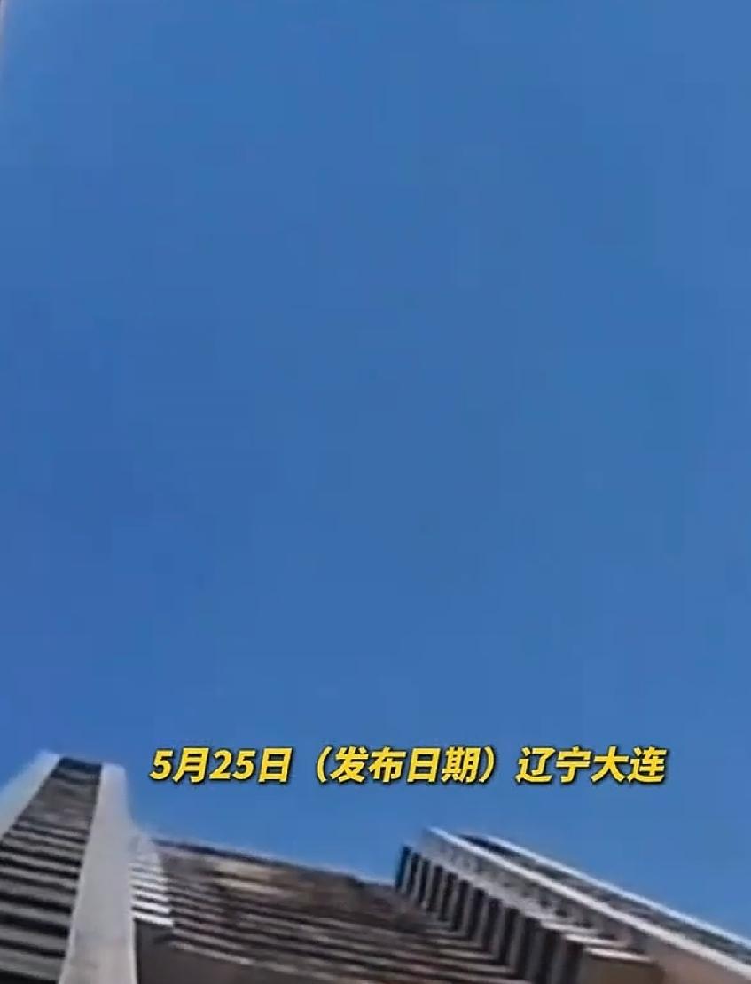 5月24日晚，辽宁大连某小区的一幢20多层高层建筑，一只小猫被人从窗口扔下，砸中