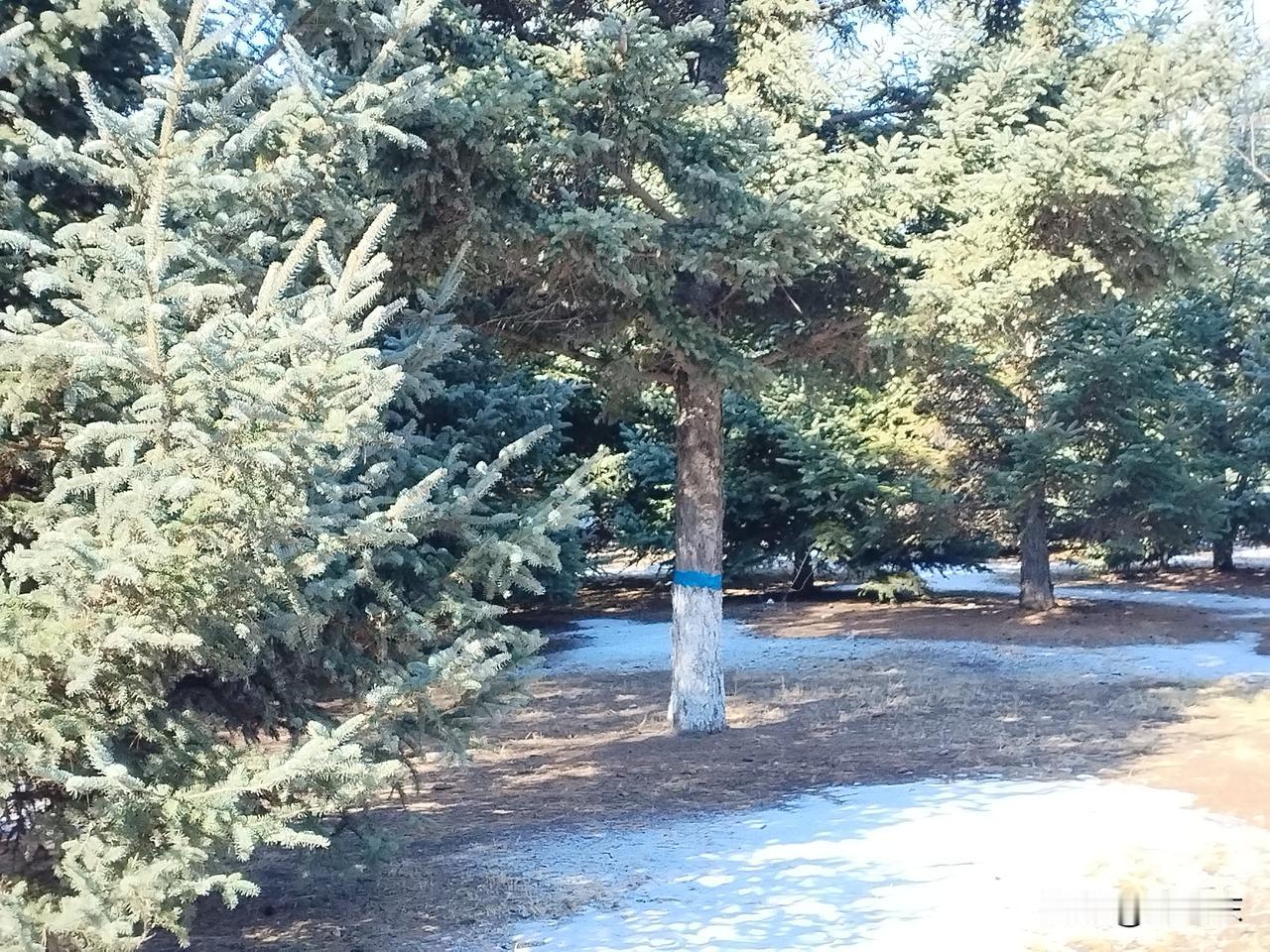 面对日本的政治挑衅，我们究竟应该怎样应对？相信国家早已经有英明的对应之策。我作为