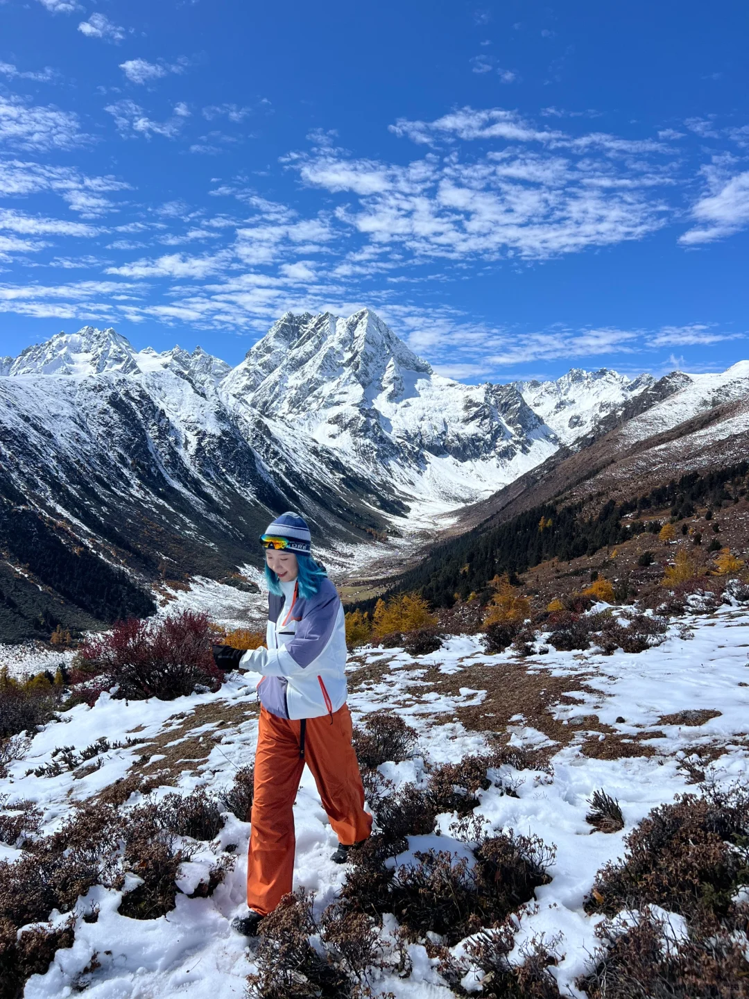 去白马雪山捡秋去🍁