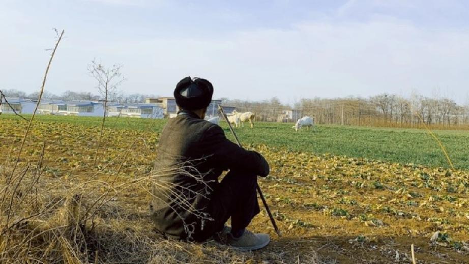 【代表建议农民养老金涨到1000元，这不仅仅是在还一笔历史旧账】正在召开的202