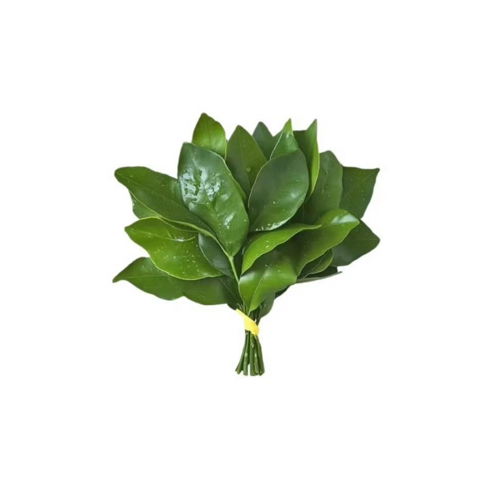 省流：网页链接站子资金都用于张元英应援，别家站子补缴90因为项目结束后留存资金很