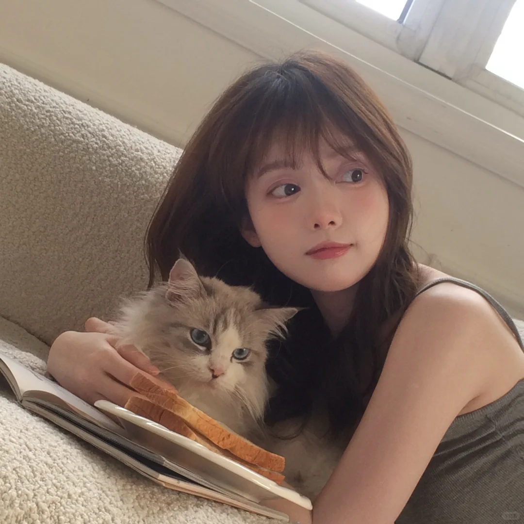 小猫说天天开心🐈