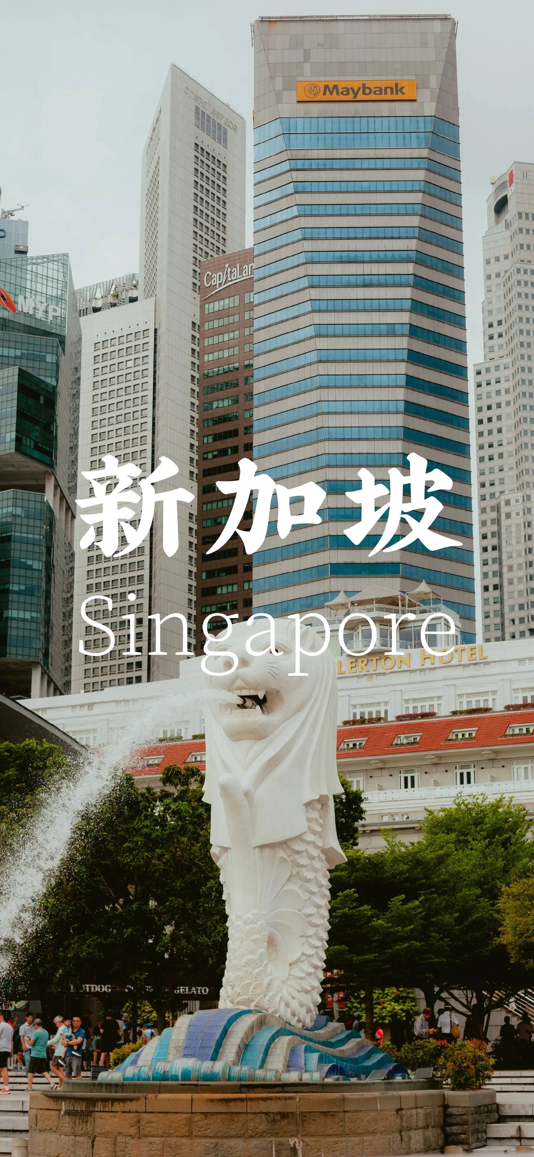 “找不到答案的时候 就去看一看这个世界”💫📸📍「在赤道南端，一颗...
