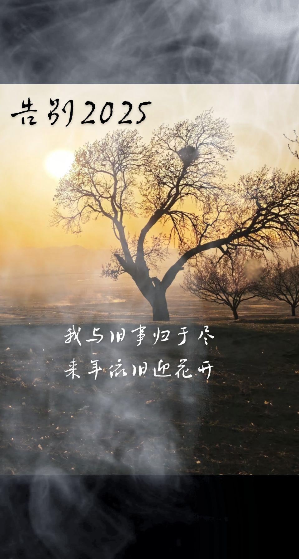 道个别吧
永记得永不想回的一年
我与旧事归于尽
来年依旧迎春天