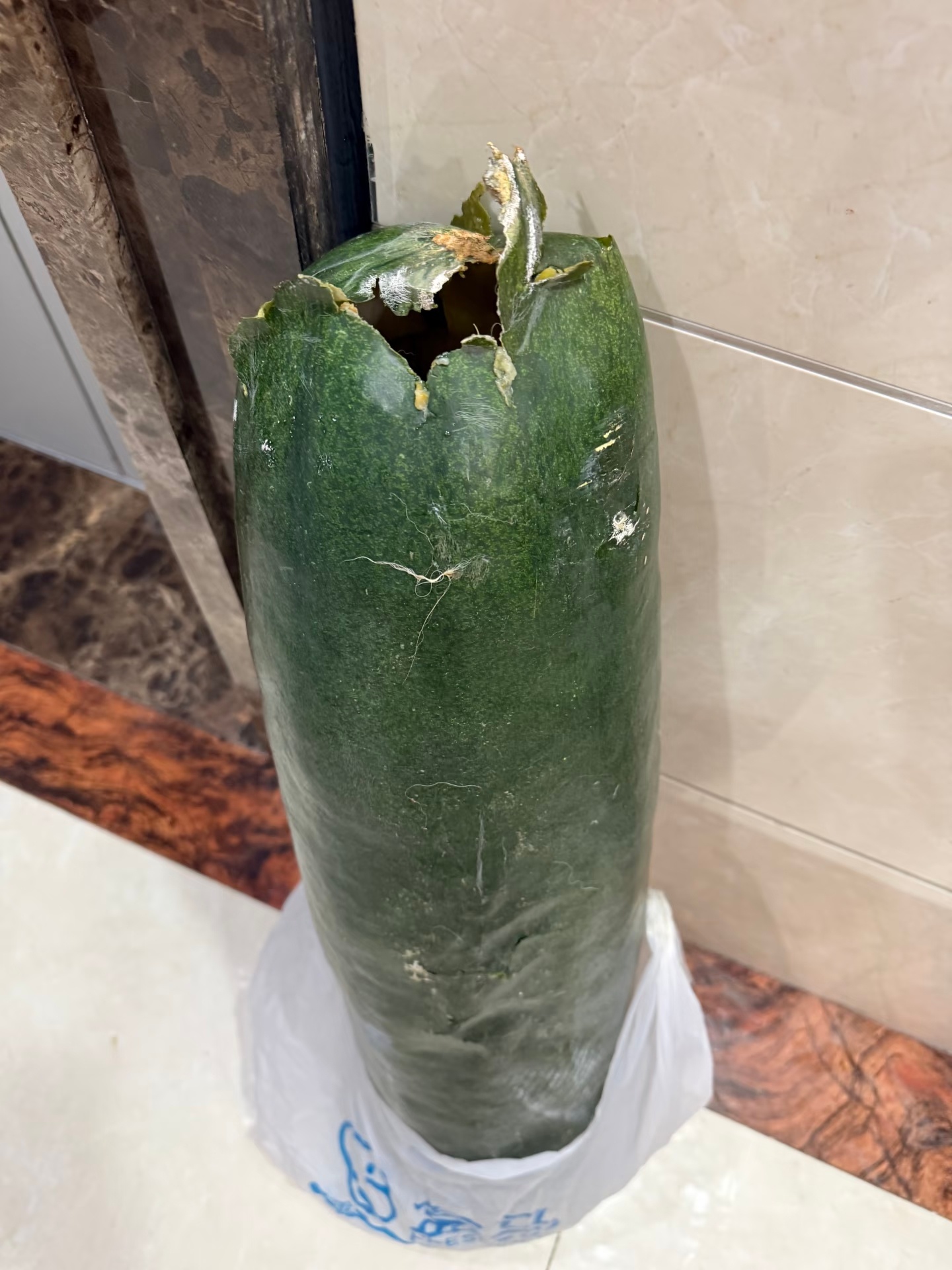 抱冬瓜睡觉的第一批受害者出现了真的别跟风整夜抱瓜！短视频只吹冬瓜天然凉，结果大批