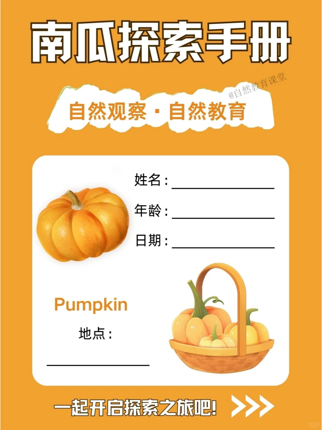 自然教育手册|承载希望的金色宝盒-南瓜