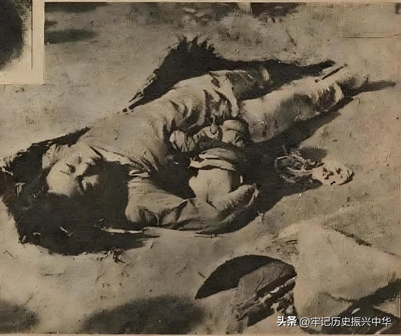 1938年春徐州会战爆发，台儿庄大捷就是这次会战当中的重大胜利，虽然重创了日军，