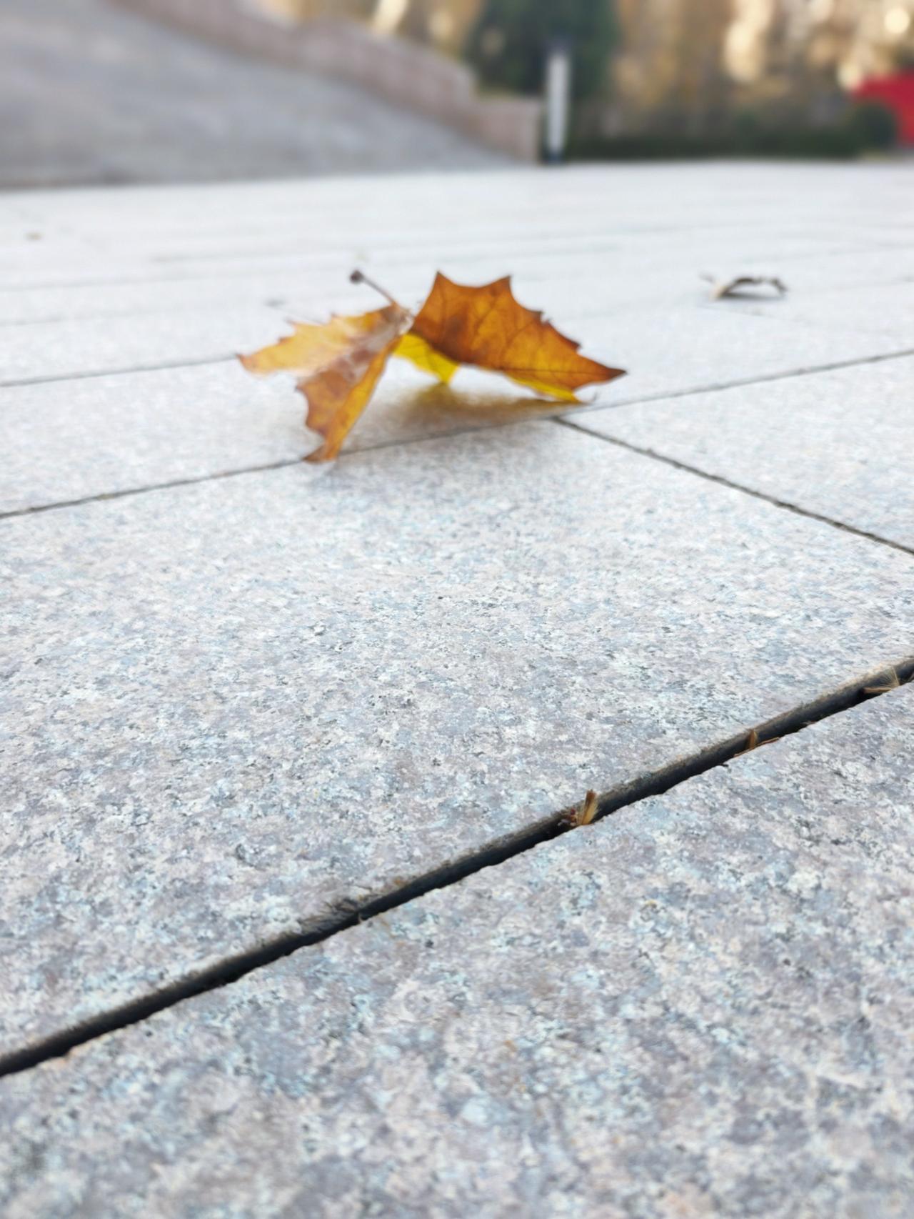 你有没有这种感觉呢？就是和某些人相处就像一场梦，多年以后回望这场梦，你看清了人性